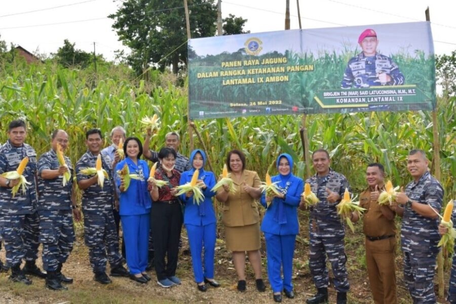 Komandan Lantamal IX Ambon Brigadir Jenderal TNI (Mar) Said Latuconsina, Lakukan Panen Jagung (2)